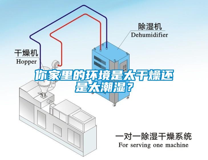 你家里的環境是太干燥還是太潮濕？