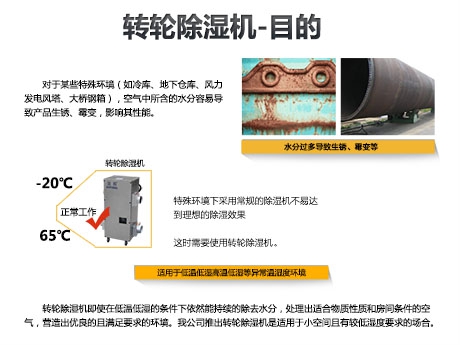 貓糧防潮秘籍，貓糧如何儲存