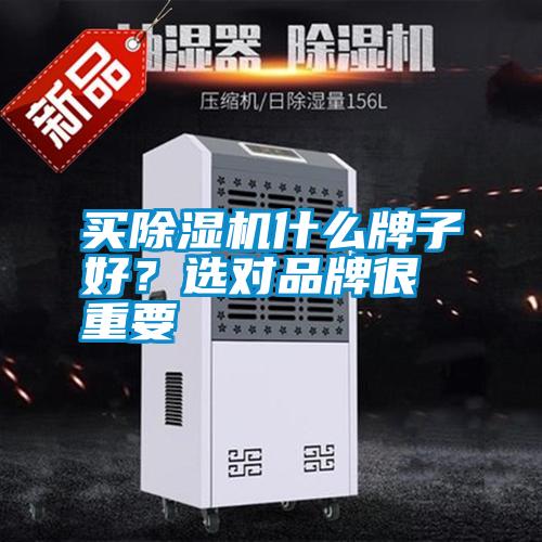 買除濕機什么牌子好？選對品牌很重要