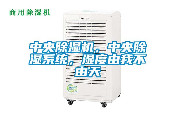 中央除濕機，中央除濕系統，濕度由我不由天