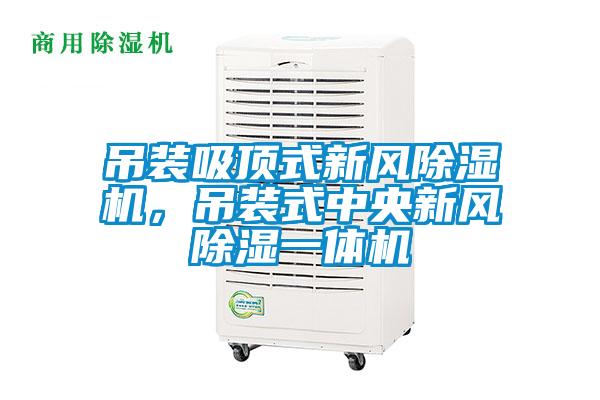 吊裝吸頂式新風除濕機，吊裝式中央新風除濕一體機