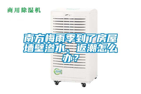 南方梅雨季到了房屋墻壁滲水、返潮怎么辦？