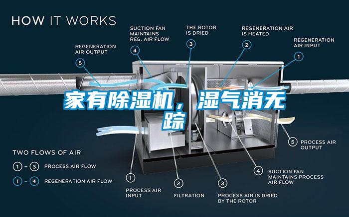 家有除濕機，濕氣消無蹤