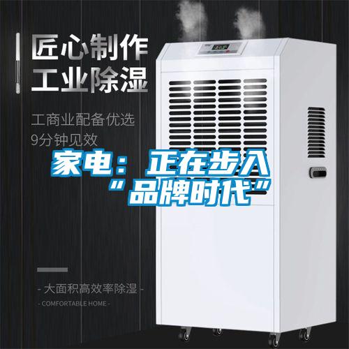 家電：正在步入“品牌時代”