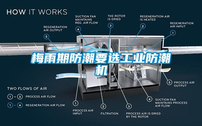 梅雨期防潮要選工業防潮機