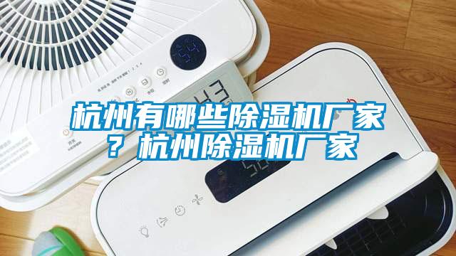 杭州有哪些除濕機廠家？杭州除濕機廠家