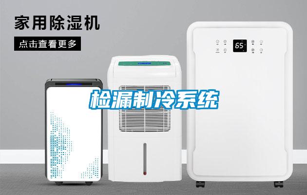 檢漏制冷系統