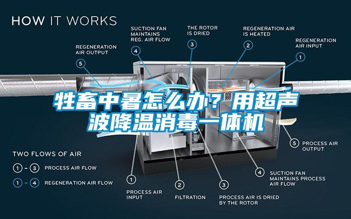 牲畜中暑怎么辦？用超聲波降溫消毒一體機