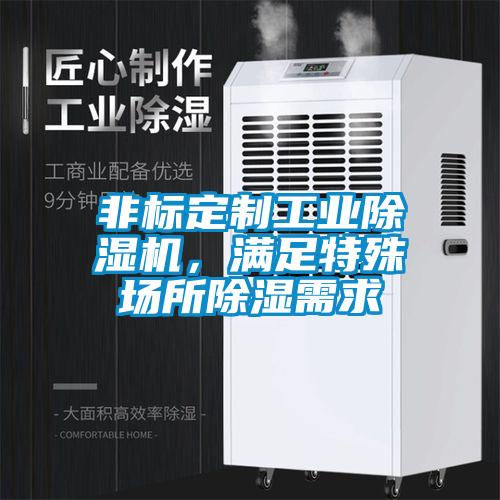 非標定制工業除濕機，滿足特殊場所除濕需求