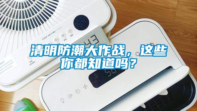 清明防潮大作戰，這些你都知道嗎？