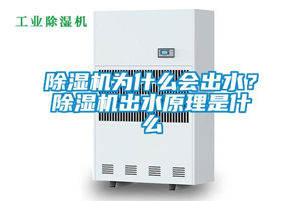 除濕機為什么會出水？除濕機出水原理是什么