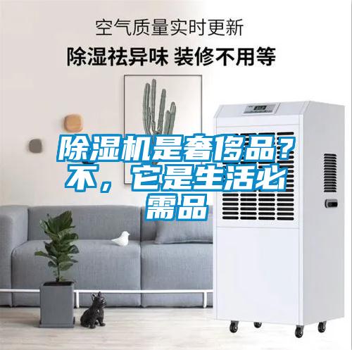 除濕機是奢侈品？不，它是生活必需品