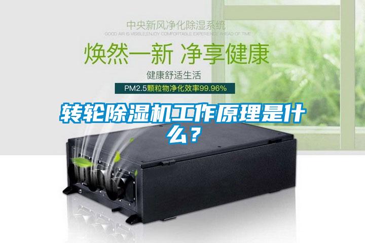 轉輪除濕機工作原理是什么？