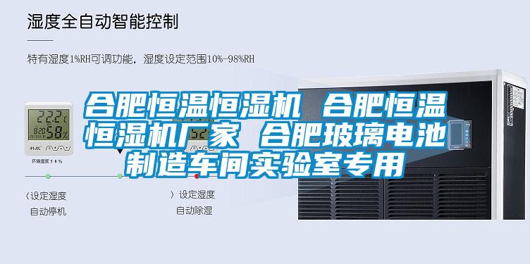 合肥恒溫恒濕機 合肥恒溫恒濕機廠家 合肥玻璃電池制造車間實驗室專用