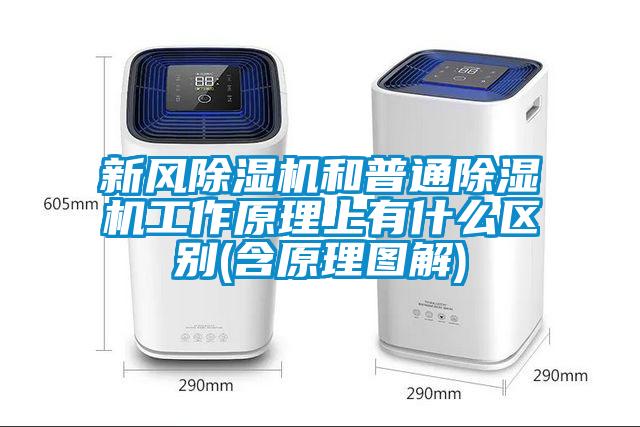 新風除濕機和普通除濕機工作原理上有什么區別(含原理圖解)