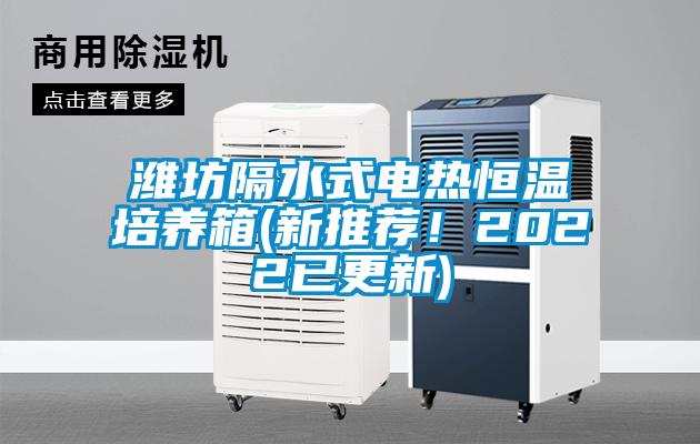 濰坊隔水式電熱恒溫培養箱(新推薦！2022已更新)