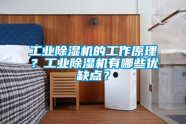 工業除濕機的工作原理？工業除濕機有哪些優缺點？