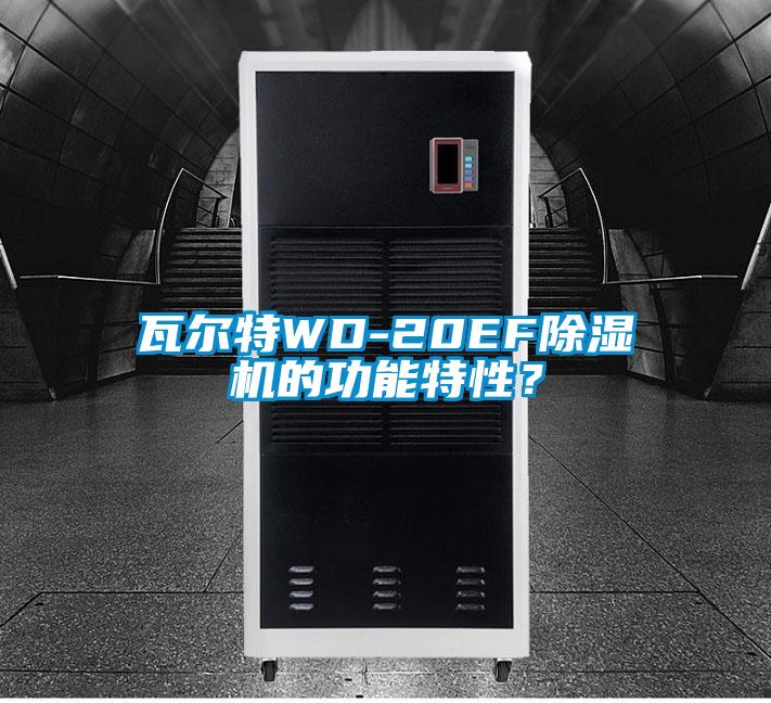 瓦爾特WD-20EF除濕機的功能特性？