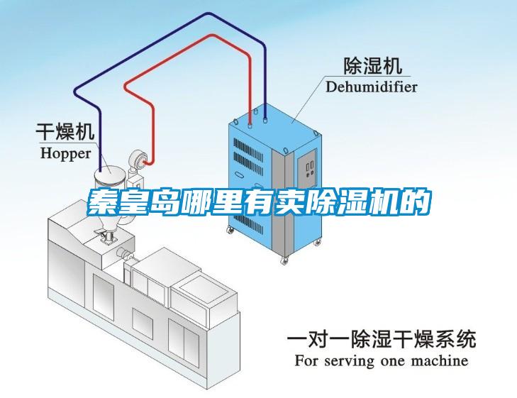 秦皇島哪里有賣除濕機的