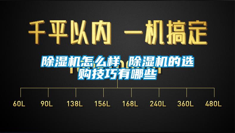 除濕機怎么樣 除濕機的選購技巧有哪些