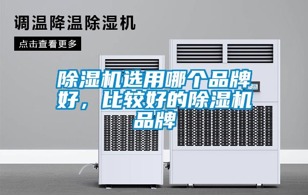 除濕機選用哪個品牌好，比較好的除濕機品牌