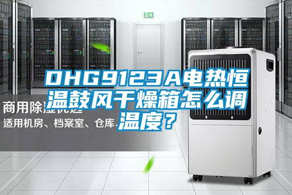 DHG9123A電熱恒溫鼓風干燥箱怎么調溫度？