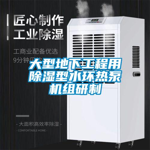 大型地下工程用除濕型水環熱泵機組研制