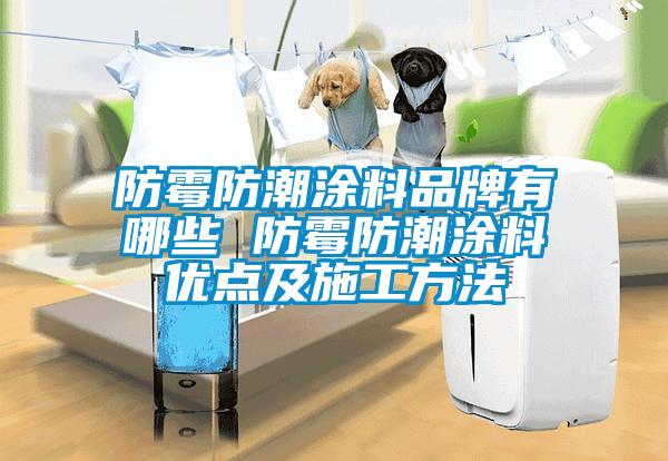 防霉防潮涂料品牌有哪些 防霉防潮涂料優點及施工方法