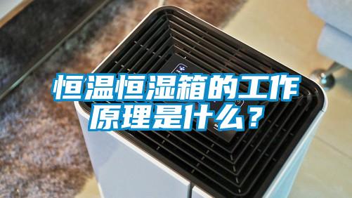 恒溫恒濕箱的工作原理是什么？