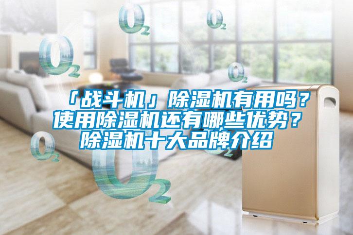 「戰斗機」除濕機有用嗎？使用除濕機還有哪些優勢？除濕機十大品牌介紹