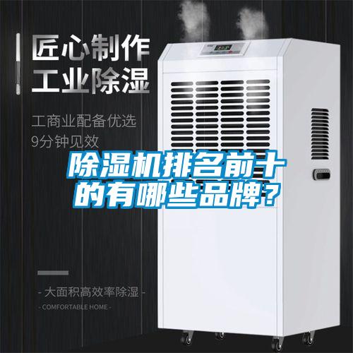 除濕機排名前十的有哪些品牌？