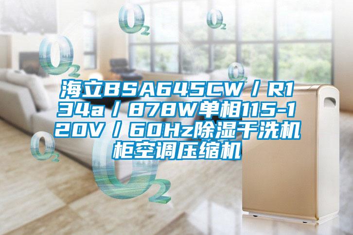 海立BSA645CW／R134a／878W單相115-120V／60Hz除濕干洗機柜空調壓縮機