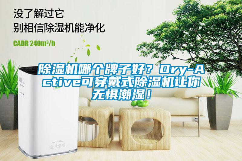 除濕機哪個牌子好？Dry-Active可穿戴式除濕機讓你無懼潮濕！