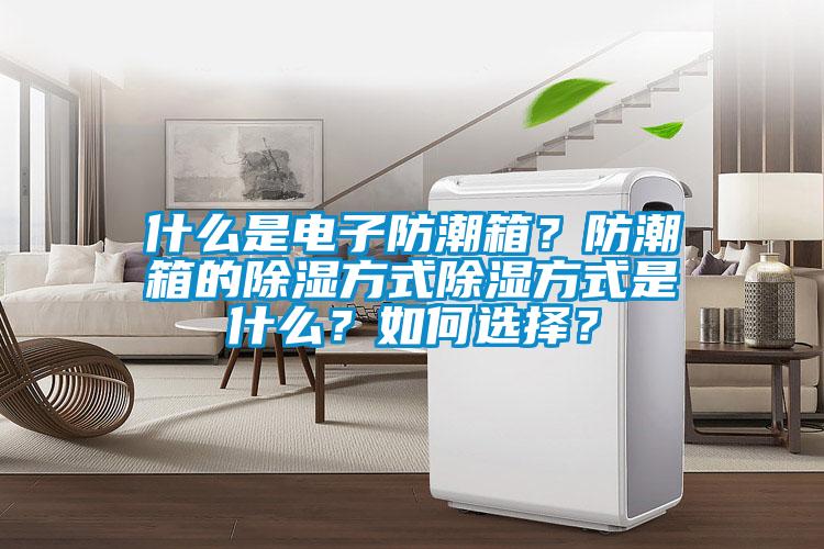 什么是電子防潮箱？防潮箱的除濕方式除濕方式是什么？如何選擇？