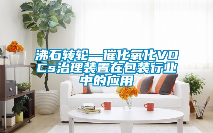 沸石轉輪—催化氧化VOCs治理裝置在包裝行業中的應用