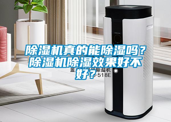 除濕機真的能除濕嗎？除濕機除濕效果好不好？