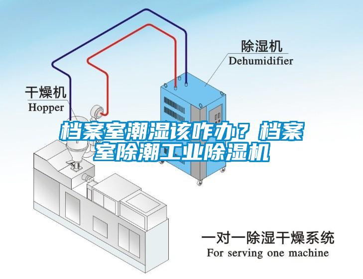 檔案室潮濕該咋辦？檔案室除潮工業除濕機