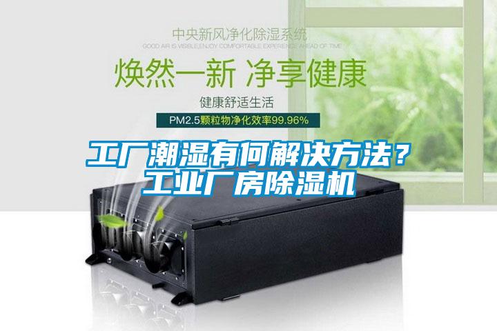 工廠潮濕有何解決方法？工業廠房除濕機