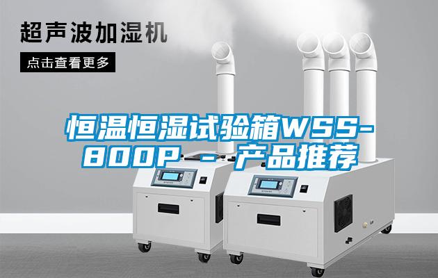 恒溫恒濕試驗箱WSS-800P - 產品推薦