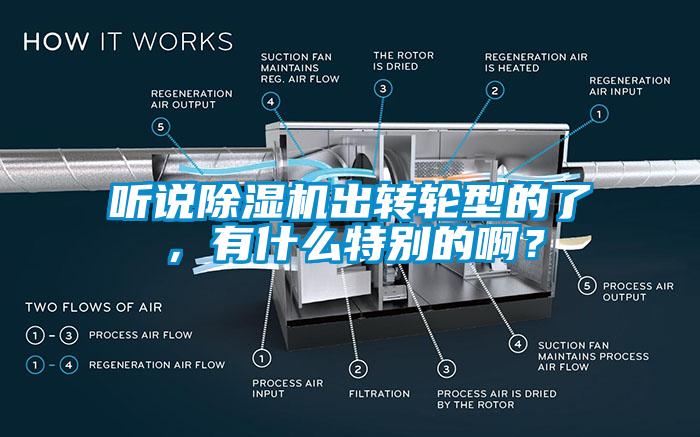 聽說除濕機出轉輪型的了，有什么特別的?。?/></p>
						    <p style=