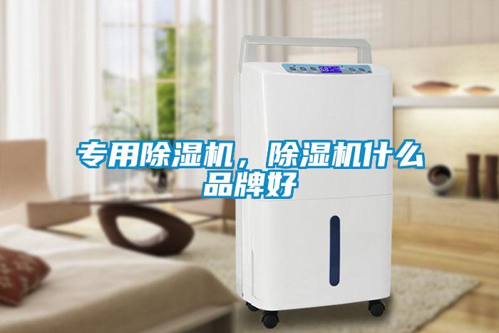 專用除濕機，除濕機什么品牌好