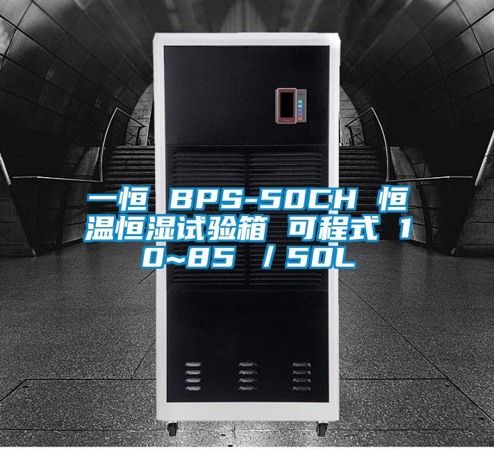 一恒 BPS-50CH 恒溫恒濕試驗箱 可程式 10~85℃／50L