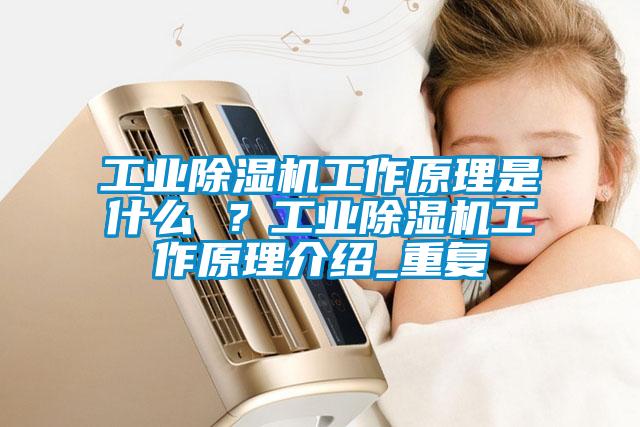 工業除濕機工作原理是什么 ？工業除濕機工作原理介紹_重復