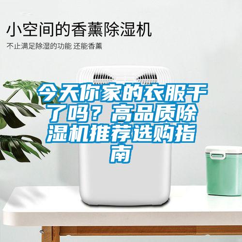 今天你家的衣服干了嗎？高品質除濕機推薦選購指南