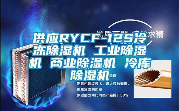 供應RYCF-12S冷凍除濕機 工業除濕機 商業除濕機 冷庫除濕機