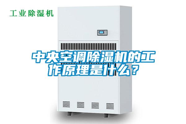 中央空調除濕機的工作原理是什么？