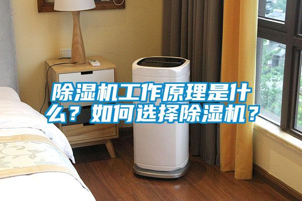 除濕機工作原理是什么？如何選擇除濕機？