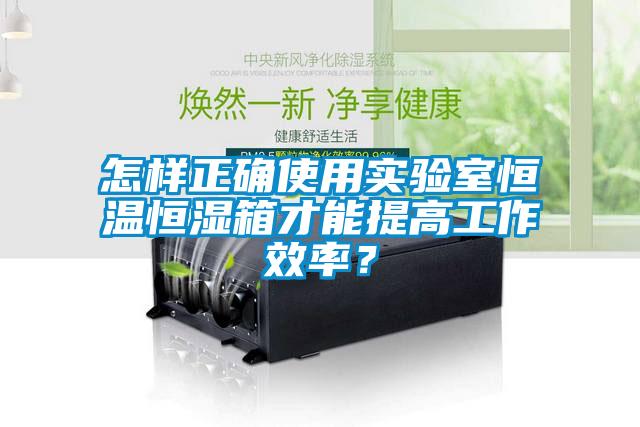 怎樣正確使用實驗室恒溫恒濕箱才能提高工作效率？