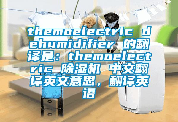 themoelectric dehumidifier 的翻譯是：themoelectric 除濕機 中文翻譯英文意思，翻譯英語