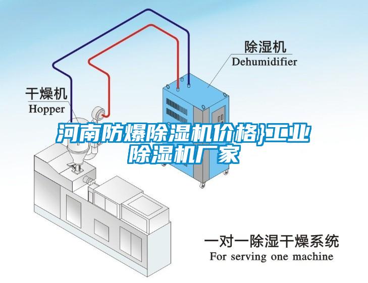 河南防爆除濕機價格}工業除濕機廠家